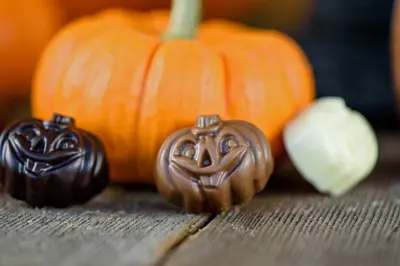 Little Chocolate Pumpkins in Dark, Milk, & White Chocolate